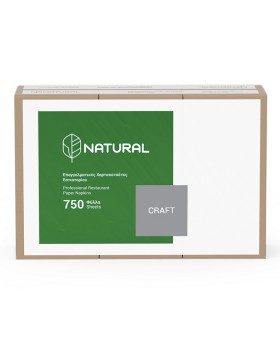 Endless Χαρτοπετσέτα Μαλακή 24Χ24Εκ Craft 750Τμχ
